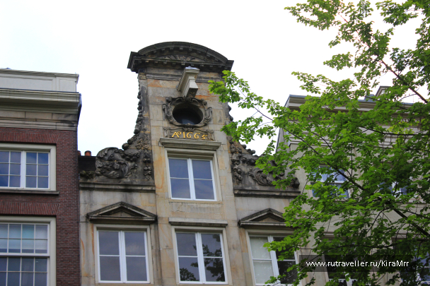 photo 1340971