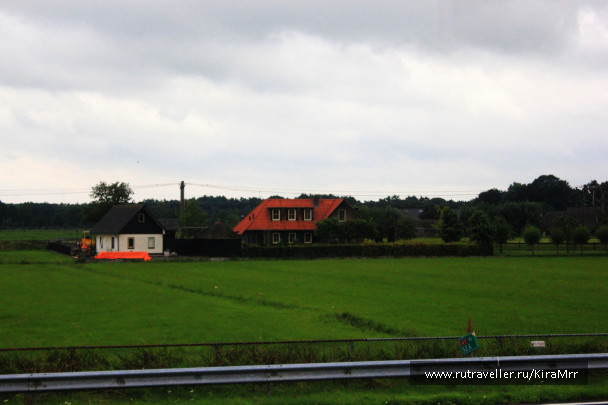 photo 1341016
