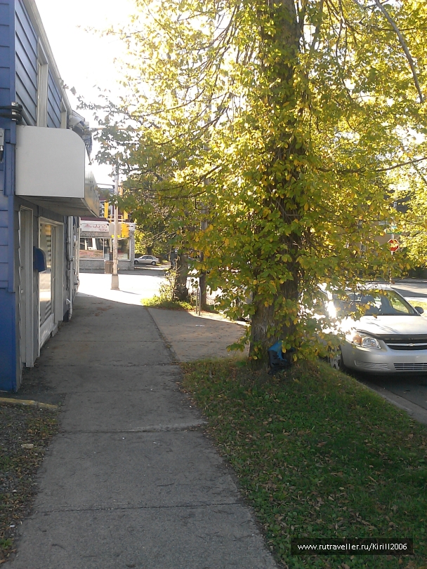 photo 815676