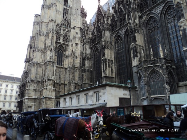photo 25813