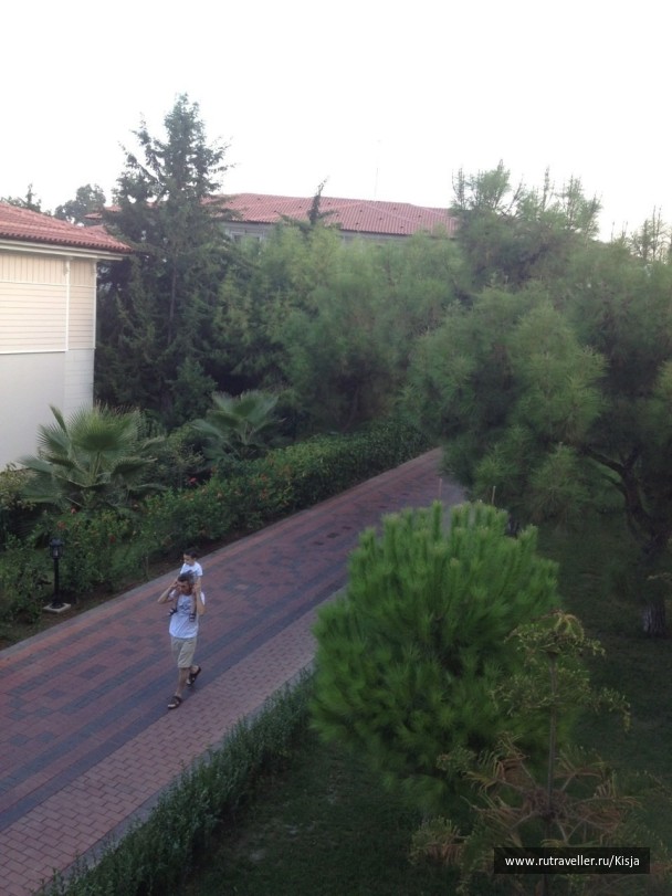 photo 513453