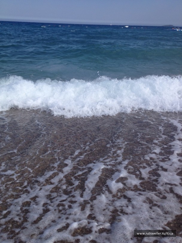 photo 516653