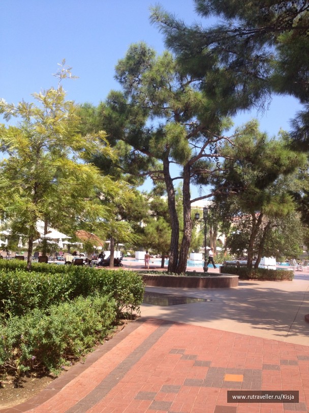photo 516663