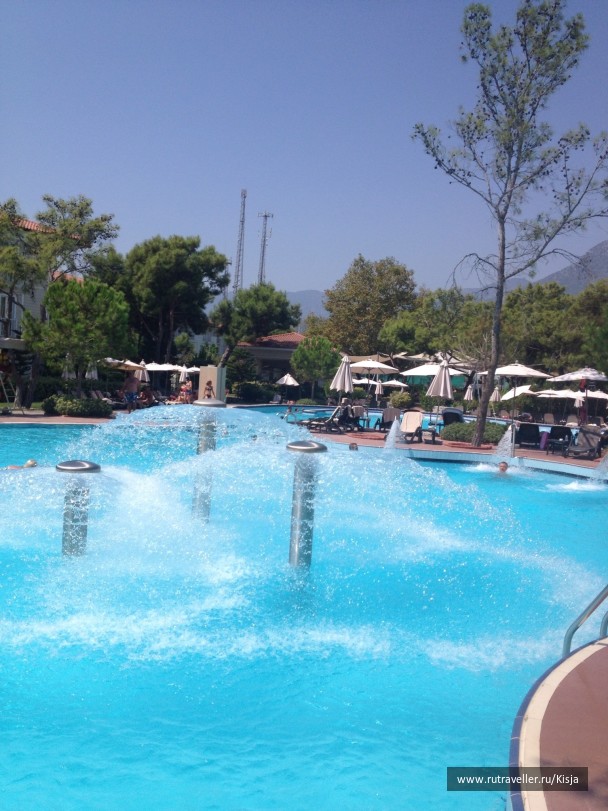 photo 516672