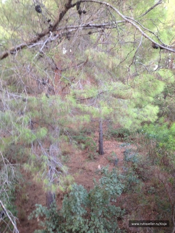 photo 516680