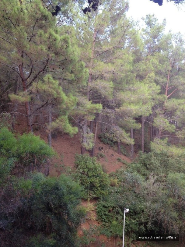 photo 516682