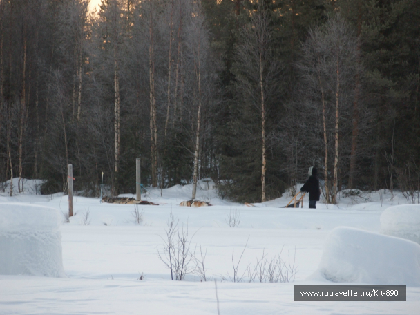 photo 617682