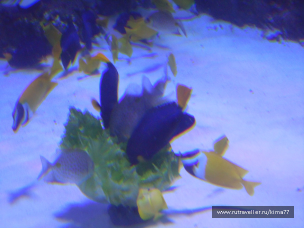photo 376516