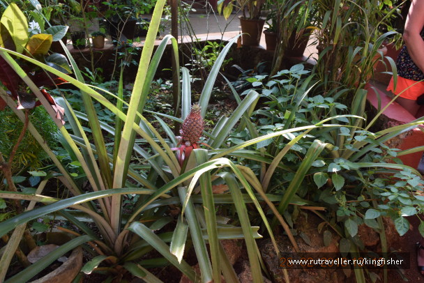 photo 1642845