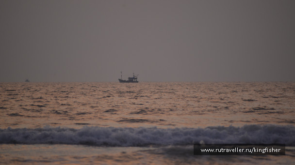 photo 1720023