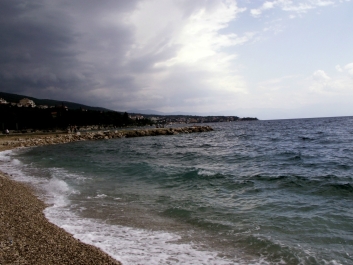 photo 771671