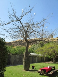 photo 777268