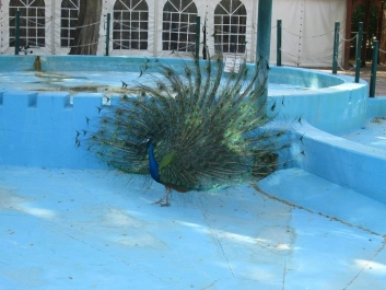 photo 777269