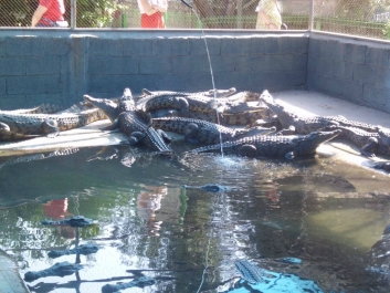 photo 777274