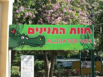 photo 777276
