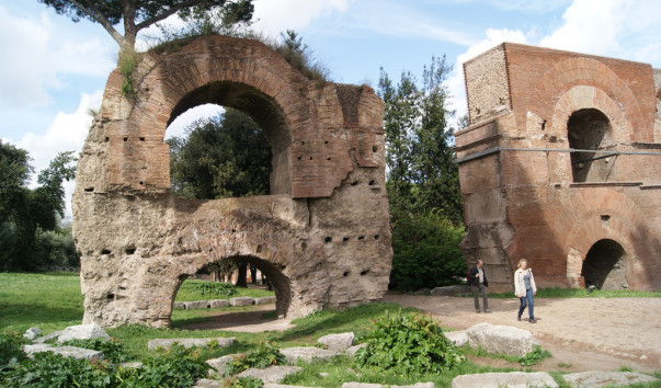 rim_237