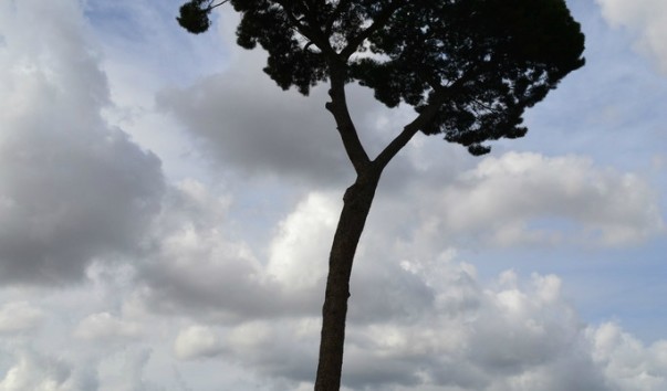 Rim_057
