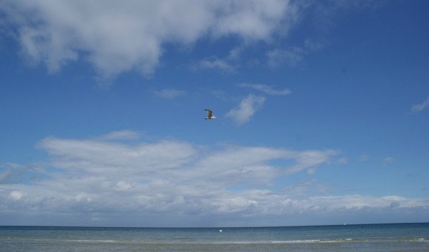 more_10