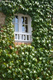 photo 864858
