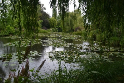photo 864874