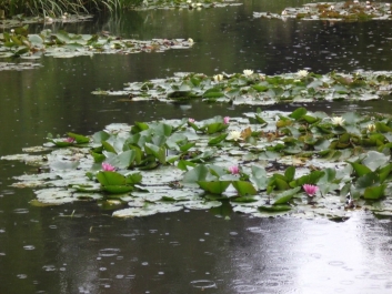 photo 864875