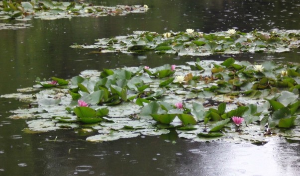 giverny_063_2