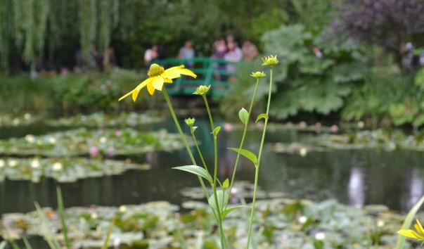giverny_056
