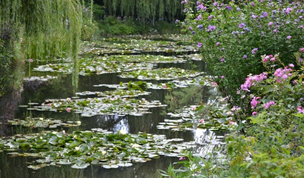 giverny_026
