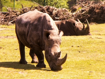 photo 924007