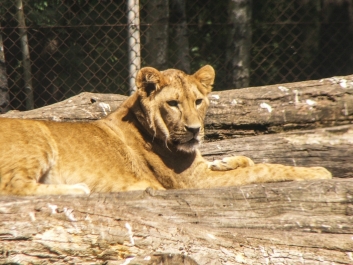 photo 924018