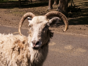 photo 924030