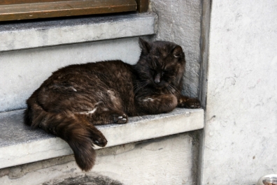 photo 947268