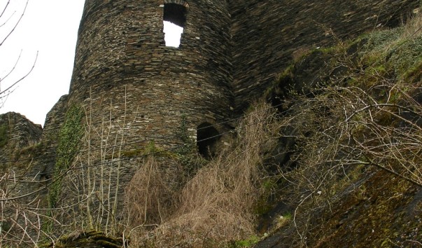 la_roche_26