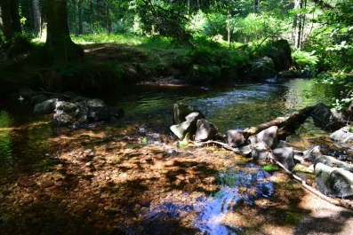 photo 964484