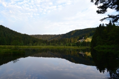 photo 964493