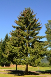 photo 964506