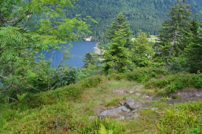 photo 964527
