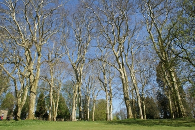 photo 969338