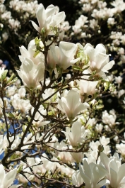 photo 969343