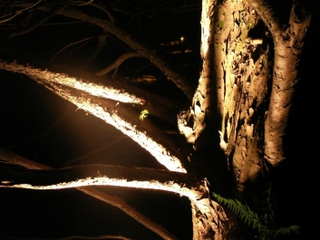 photo 969811