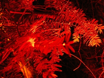 photo 969826