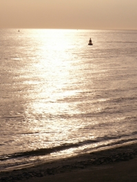 photo 973797