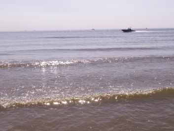 photo 973816