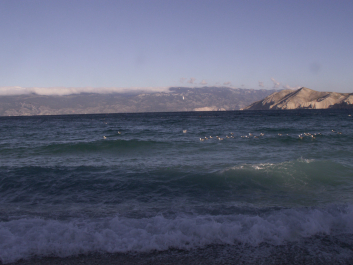 photo 981163