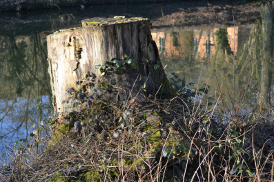 photo 991263