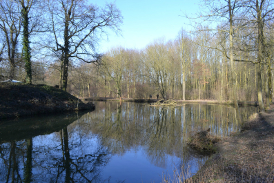 photo 991264