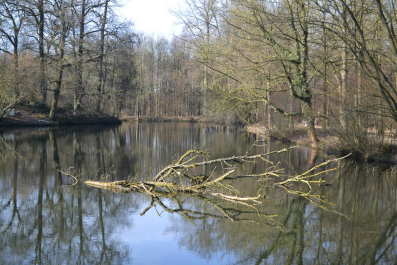 photo 991265