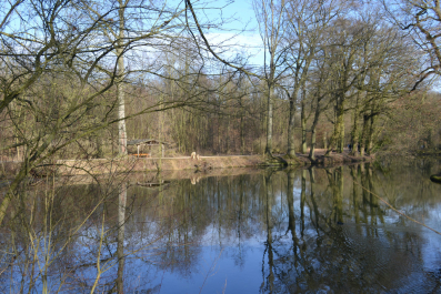 photo 991267
