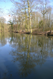 photo 991268