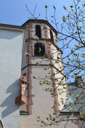 photo 1014543